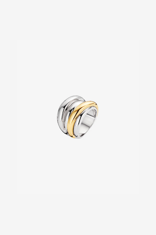 Classic Ring in Silver with Gold