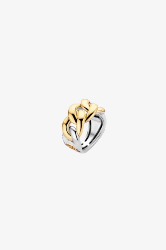 Silver Ring with Gold