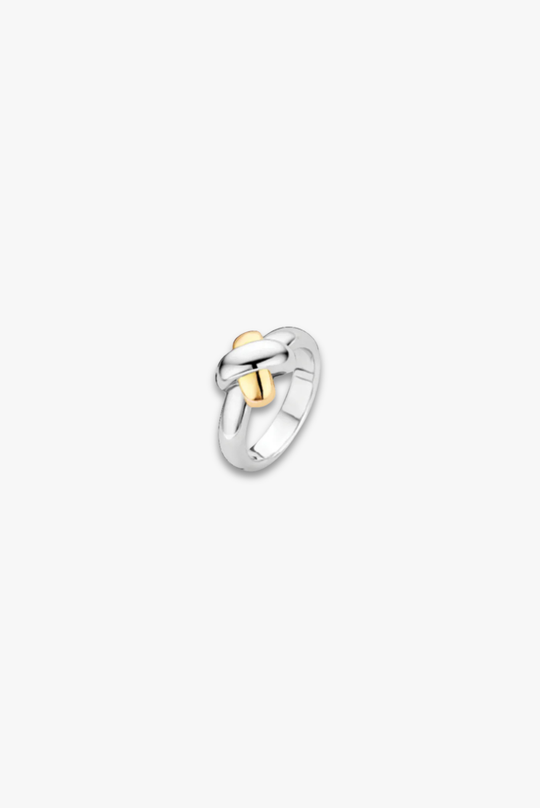 Silver and Gold Cross Ring